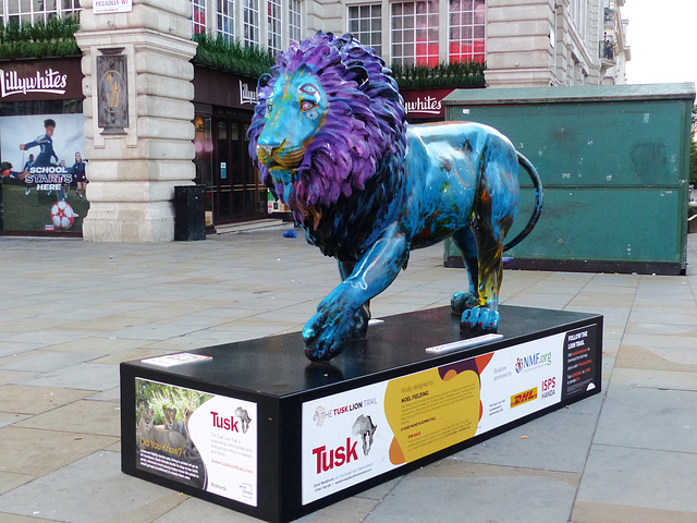 Tusk Lion Trail (2) - 29 August 2021