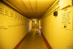 From Scotland's once secret nuclear bunker and Government Command and Control Centre during the Cold War