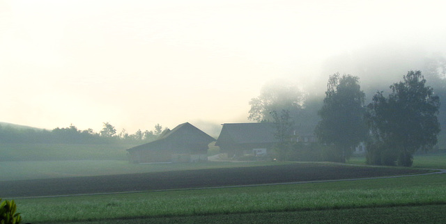 Herbstanfang / Beginning of autumn