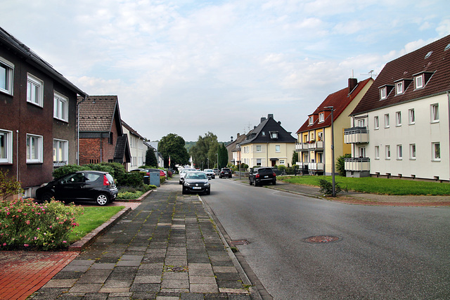 In der Kemnade (Castrop-Rauxel) / 3.08.2024