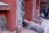 Patan -Népal