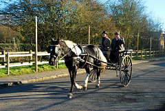 Horse and cart And a fence!!  HFF!