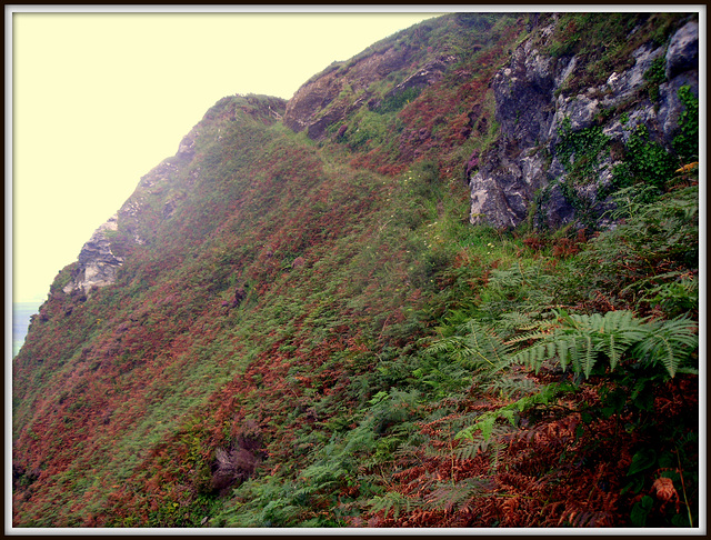 The path to the nudist beach - a doddle.