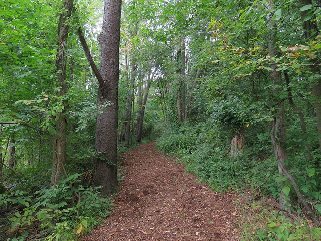 This part of the nature center is always very quiet.