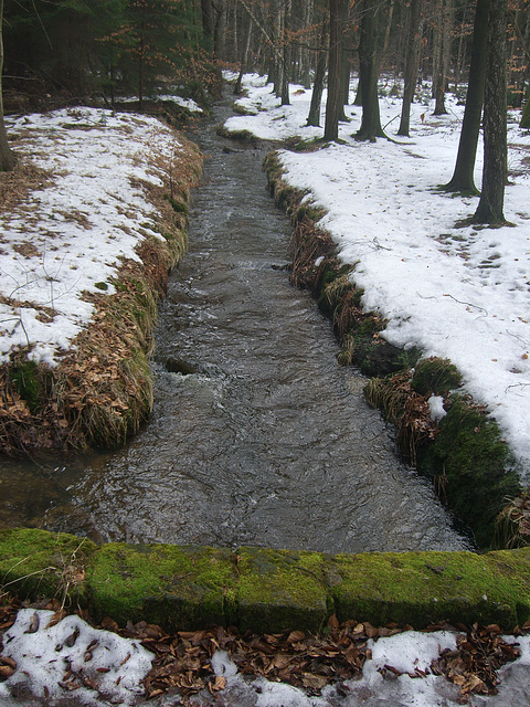 Waldgraben