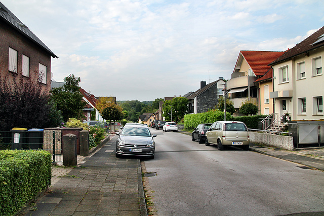 Regerstraße (Castrop-Rauxel) / 3.08.2024