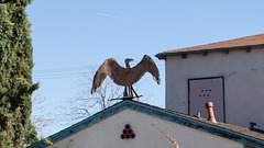 Banning condor? statue (#0369)
