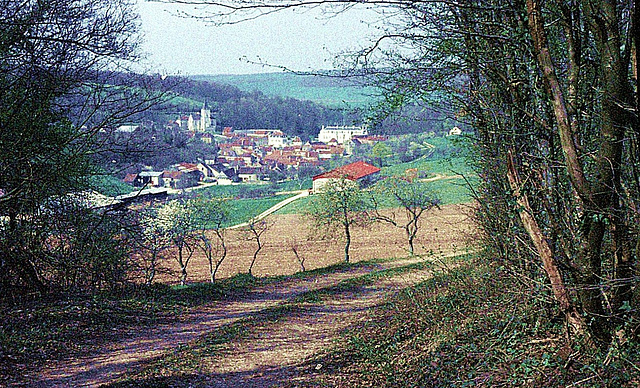 ... c'est un coin de verdure ...