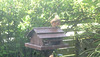oaw[rsq] - visit : 14June2026  {12 of 18}