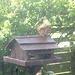 oaw[rsq] - visit : 14June2026  {12 of 18}