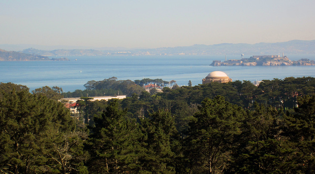 San Francisco Presidio View (3039)