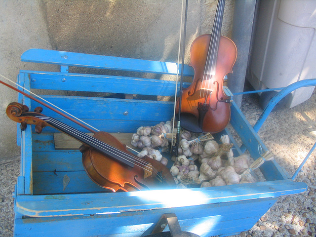 violon ail charette