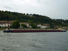 TMS JENERO Rheinabwärts in Koblenz