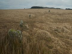 Fernacre stone circle, Bodmin Moor