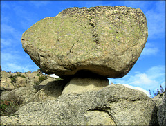 A slightly decaying mushroom rock!