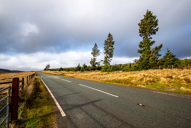 The road to Betws-y-Coed