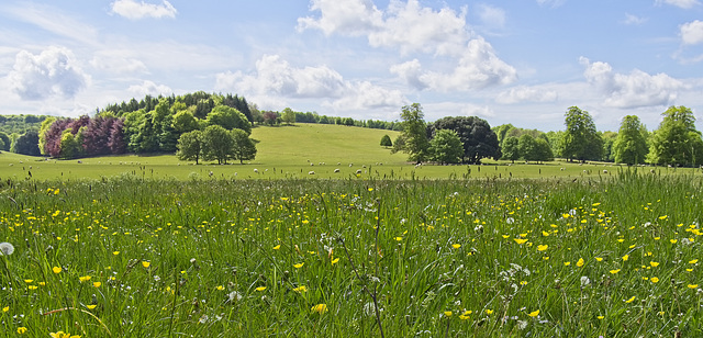 West Dean Gardens