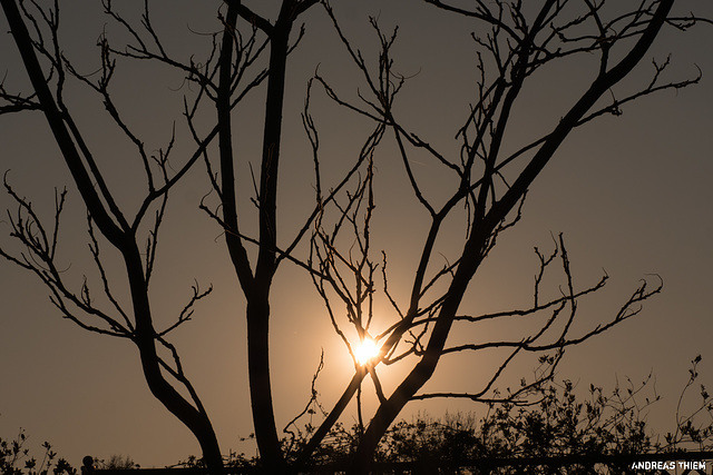 Kurz vor Sonnenuntergang