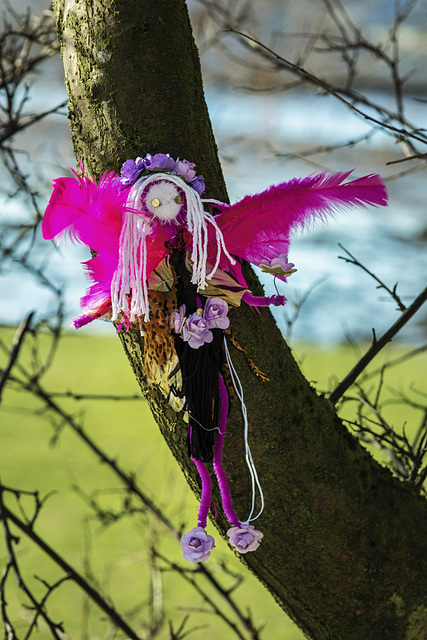 Wee Fairy with Pink Wings