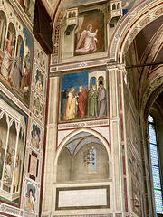 Padua 2021 – Cappella degli Scrovegni