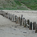 Old broken groyne, Alnmouth.