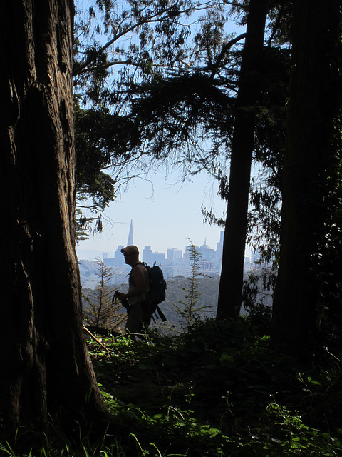 San Francisco Presidio View (3043)