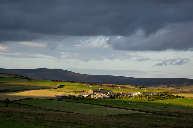 Higher Plainsteads Farm