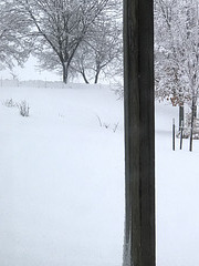 snow scene