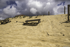 Perché sur la dune pour contempler l'océan !  HBM ! (1 PIP)