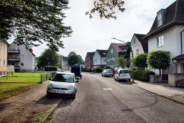 Tiergartenstraße (Castrop-Rauxel) / 3.08.2024