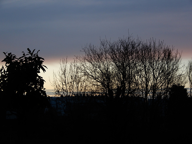 les couleurs de ce dimanche matin