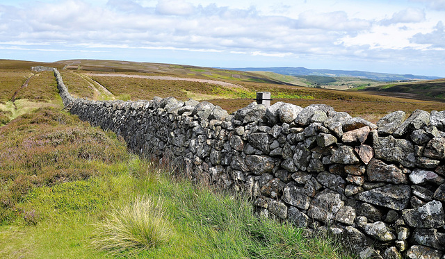 Scotland St. Cuthbert's Way (PiP)