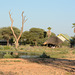 Namibia, Artificial Pond and Bungalows in the Camp of Elephant