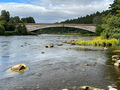 The "new" bridge across the Spey at Grantown - Note the brave soul swimming in the chilly waters of the River Spey!