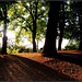 Westelijk uitzicht Lousberg