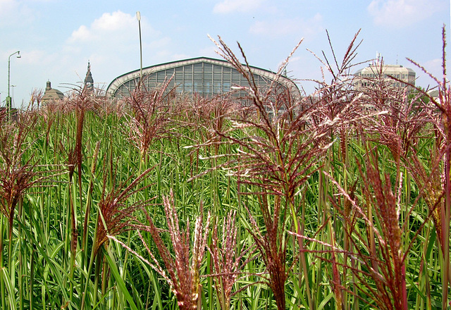 Hamburger Hauptbahnhof