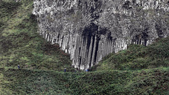 Organ pipes