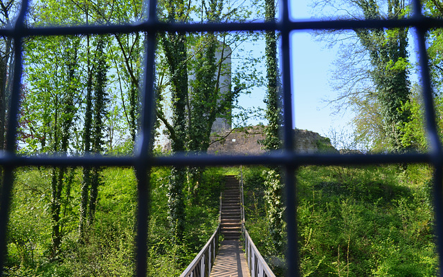 Castle-Ruine  Stein