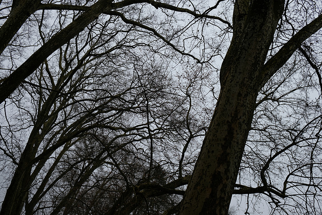 DSCF1334