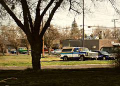 Truck in a field