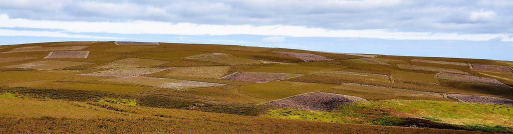 Scotland St. Cuthbert's Way