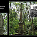 Nunhead Cemetery memorial column