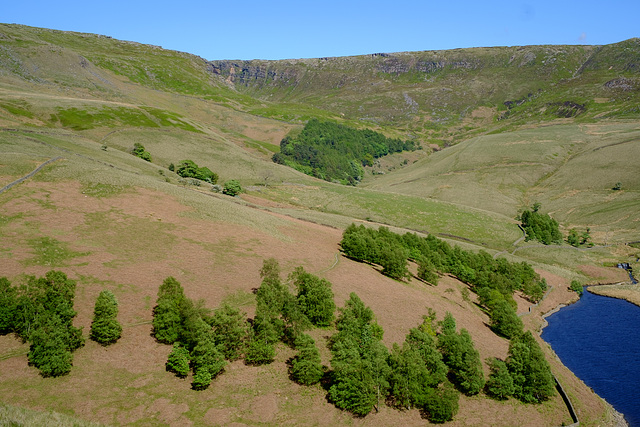 Kinder Downfall