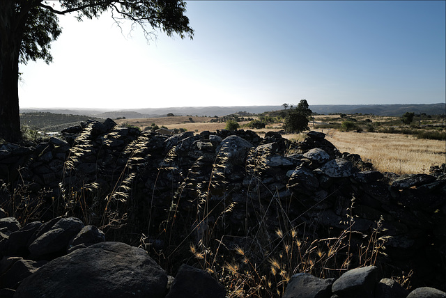 Penedos, Morning in Thirsty Land