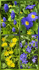 Mitte April im Garten