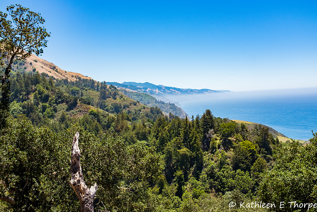 Carmel, View From Nepenthe of Big Sur Pacific Ocean 001