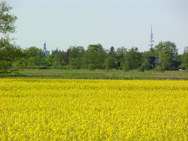 Hamburger Michel und Telemichel im Hintergrund