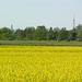 Hamburger Michel und Telemichel im Hintergrund