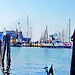 Porto di Chioggia -2014