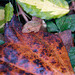 DSCF0846
